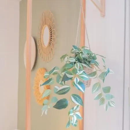 Apartment Jungle