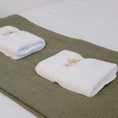 Appartement Jungle *