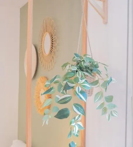 Apartman Jungle